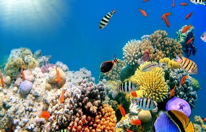 Du lịch Phú Quốc không thiếu những điểm vui chơi hấp dẫn