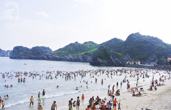 Đưa hòn đảo du lịch Cát Bà ra thế giới với những nét khác biệt