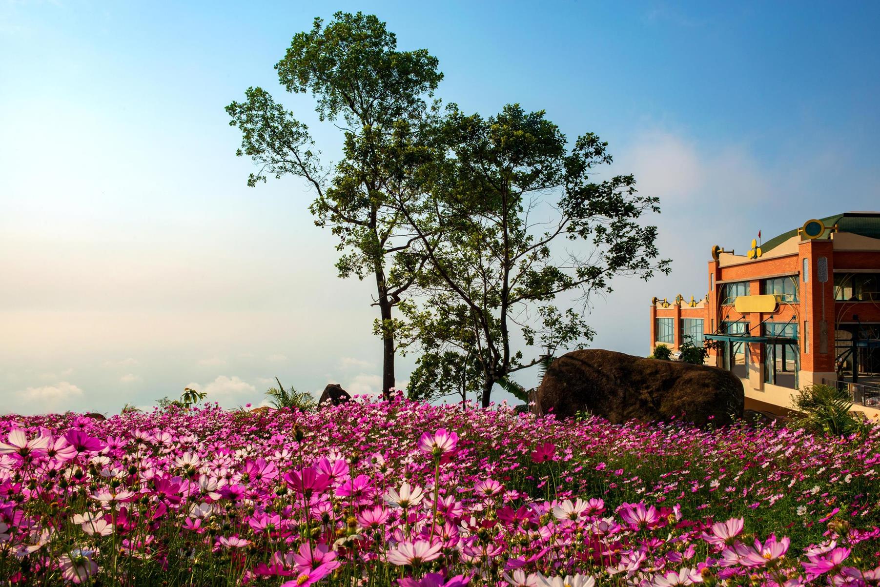 Tổng quan về tình hình tăng trưởng của Tây Ninh